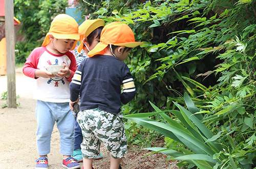 周囲の恵まれた⾃然を活かした保育